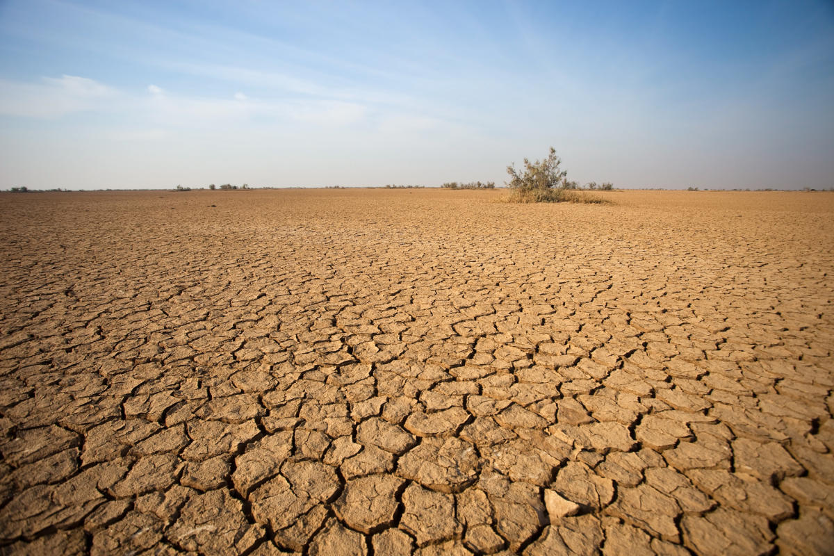 Weather 2019: an extreme forecast