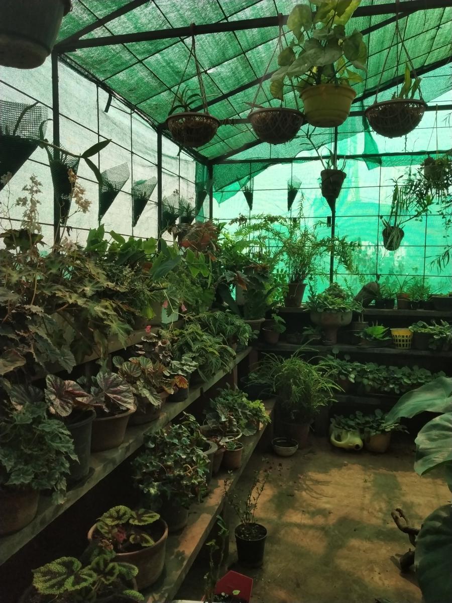 Creating a garden oasis in the city