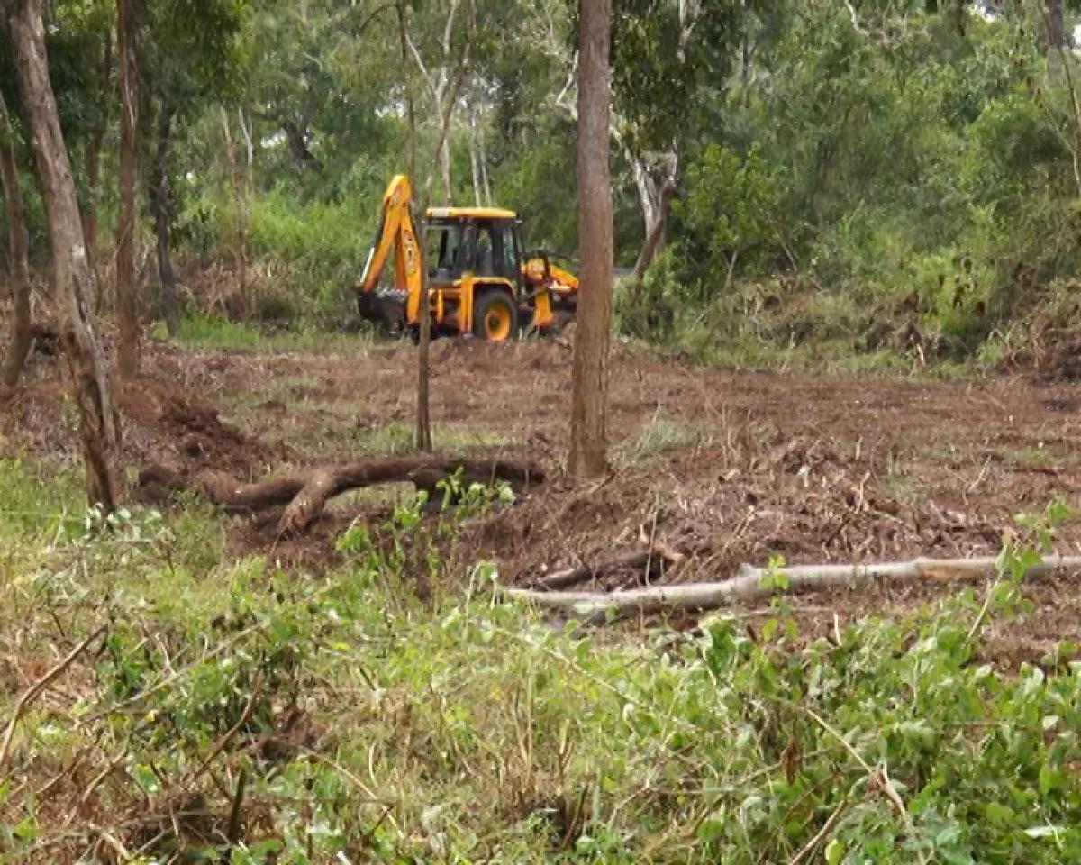 Forest dept uproots trees in buffer zone in Kodagu