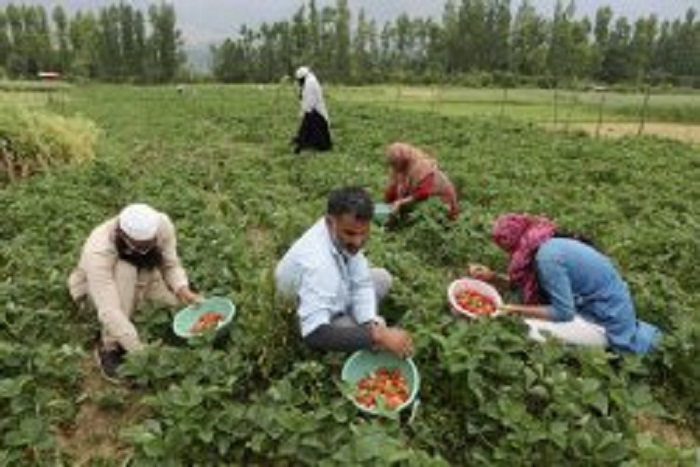 'India has failed to capitalise on its demographic dividend'