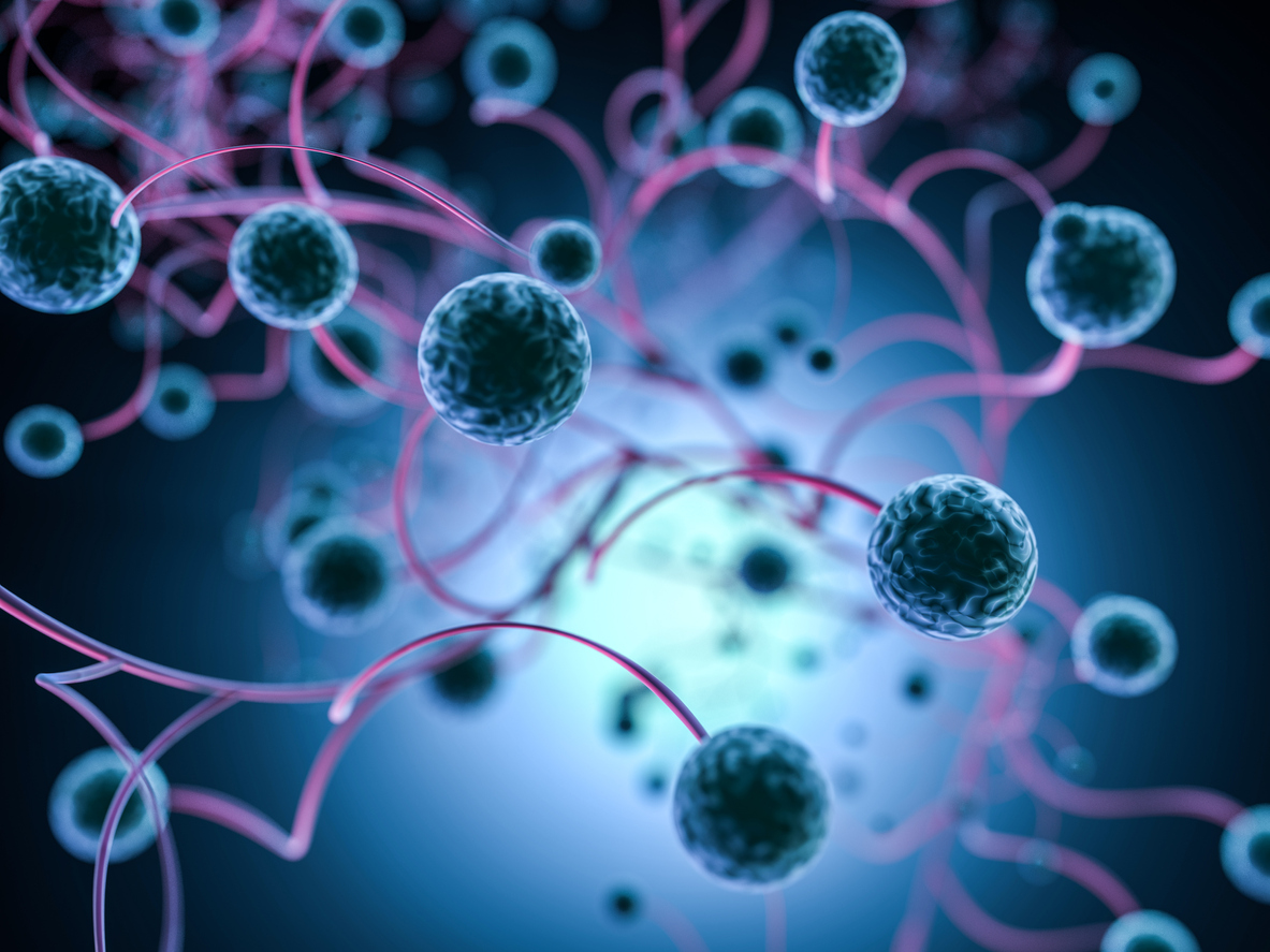 Japan newborn gets liver stem cells in world first