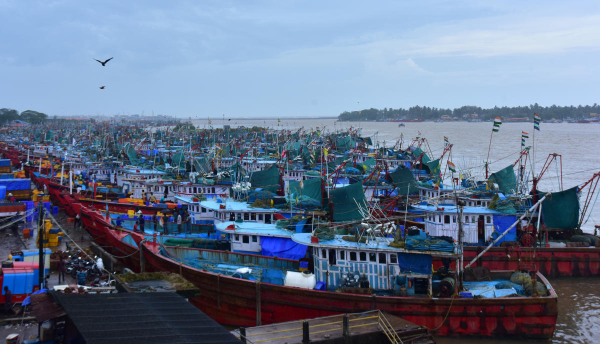 Deep-sea fishing ban from June 1