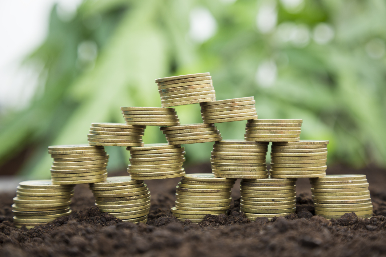 Professionalising valuers