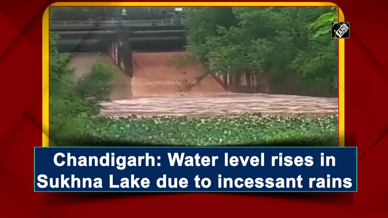 Chandigarh: Water level rises in Sukhna Lake due to incessant rains