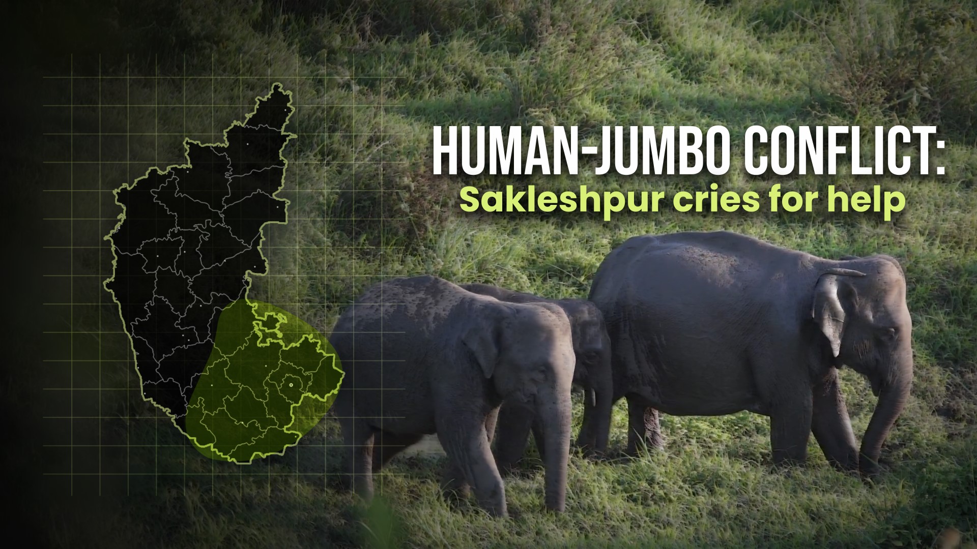 Man-elephant conflict remains unresolved in Sakleshpur