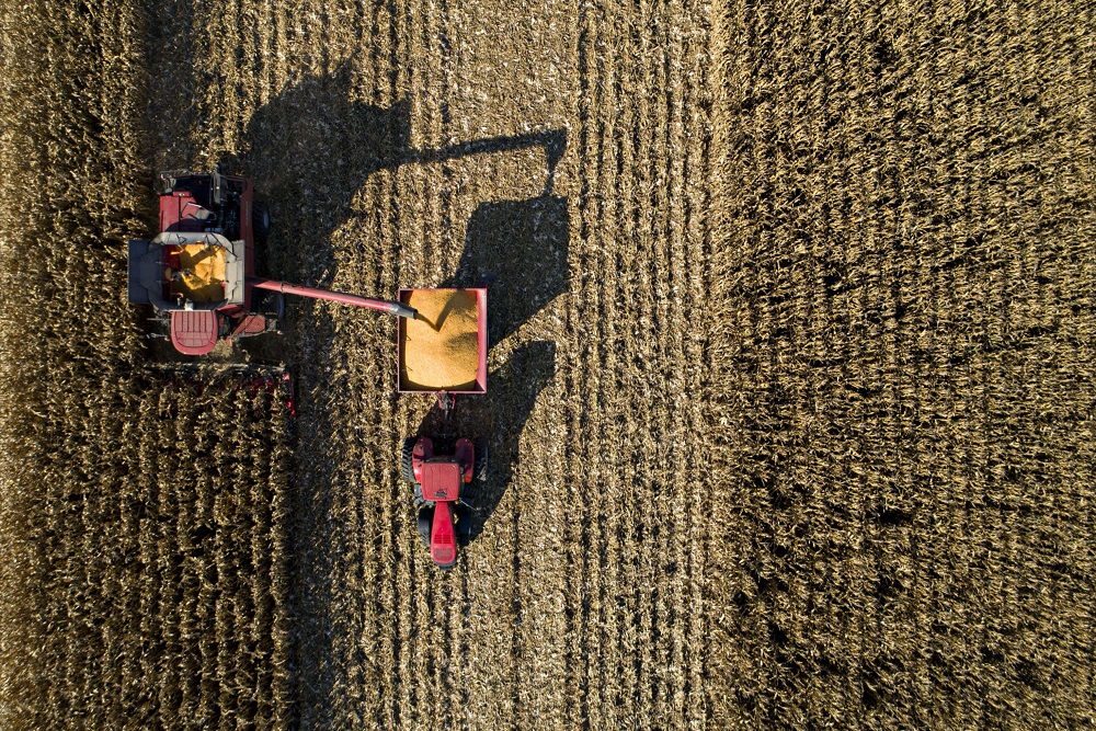 Corn is harvested with a combine in Princeton, Illinois. Photographer: Daniel Acker/Bloomberg