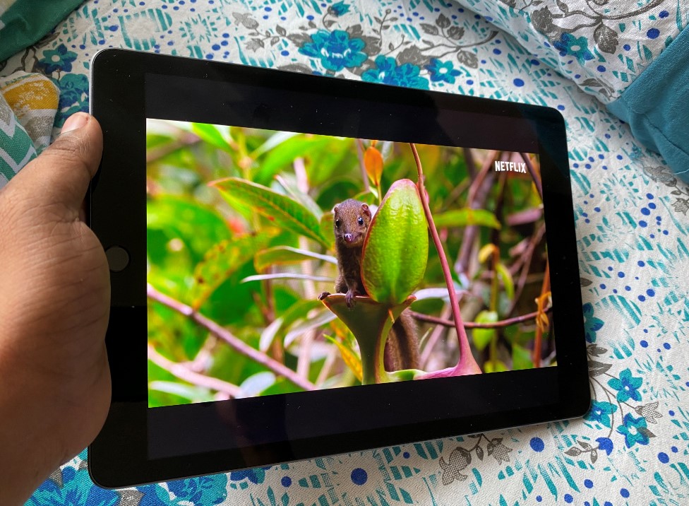 Apple iPad (8th Gen). Credit: DH Photo/KVN