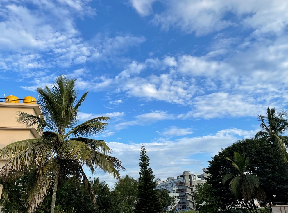 Apple iPhone 12 Pro's camera sample. Credit: DH Photo/KVN Rohit