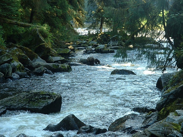 Anan Sanctuary river.