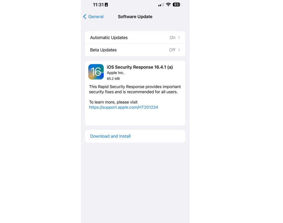 Apple's First Rapid Security Response update to iPhone 14 Pro Max (screen-grab)