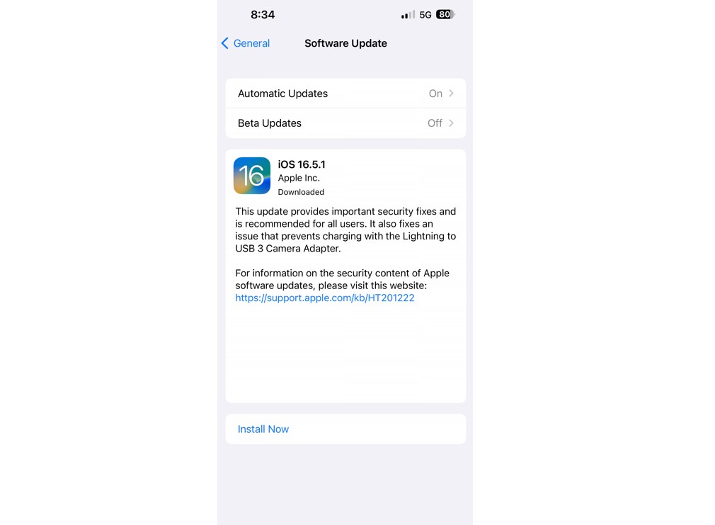 The new iOS 16.5.1 update. Credit: Apple