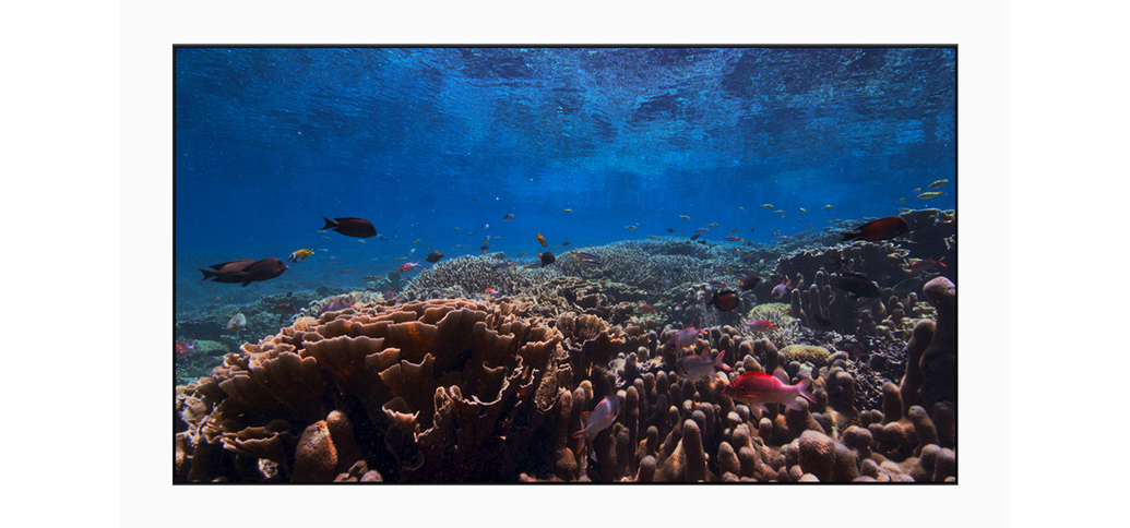 New 4K screen-saver coming with tvOS 13 update for Apple TV; picture credit: Apple