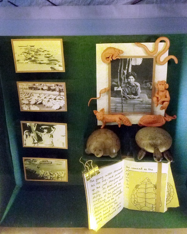 A box detailing herpetologistJ Vijaya’s work.PHOTOS BY AUTHOR