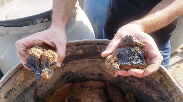Chunky Dead Sea mud