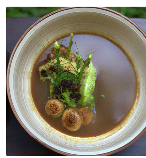 Garden Soup