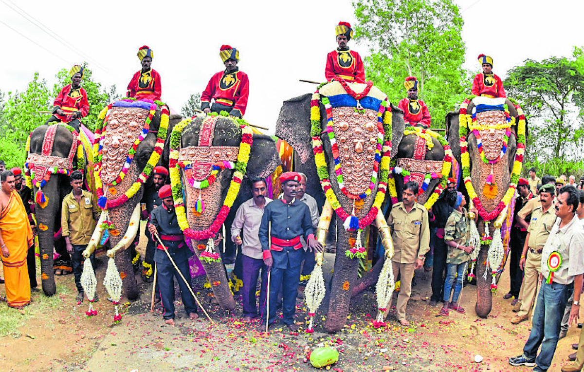Dasara Gajapayana begins from Nagapura