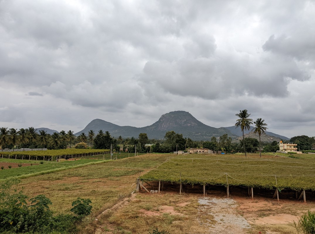 Google Pixel 6a camera sample with Normal mode. Credit: DH Photo/KVN Rohit