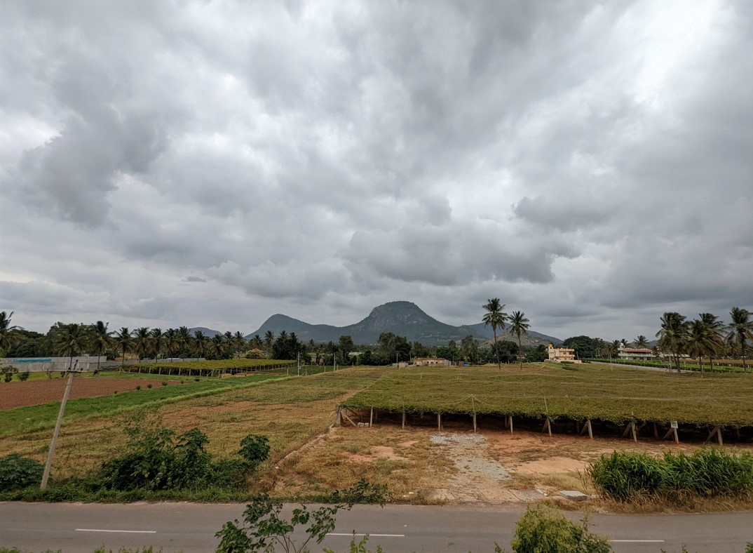 Google Pixel 6a camera sample with Ultra Wide Angle mode. Credit: DH Photo/KVN Rohit
