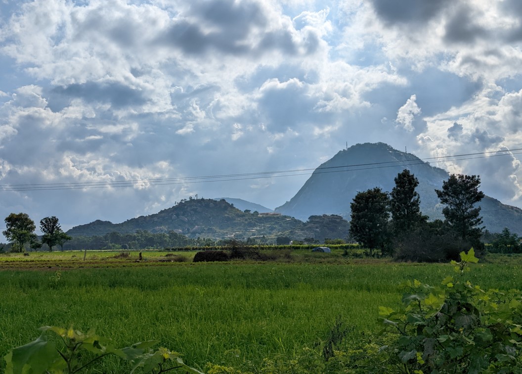 Google Pixel 7 Pro's camera sample with 2X optical Zoom. Credit: DH Photo/KVN Rohit