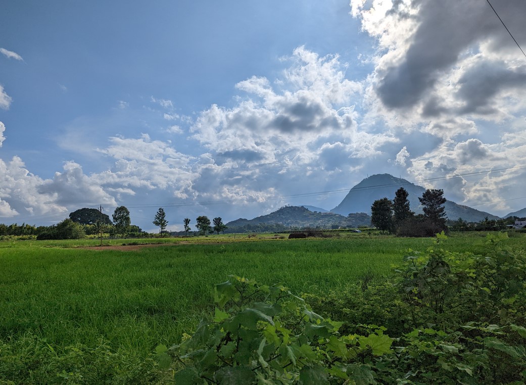 Google Pixel 7 Pro's camera sample with 1X normal view. Credit: DH Photo/KVN Rohit
