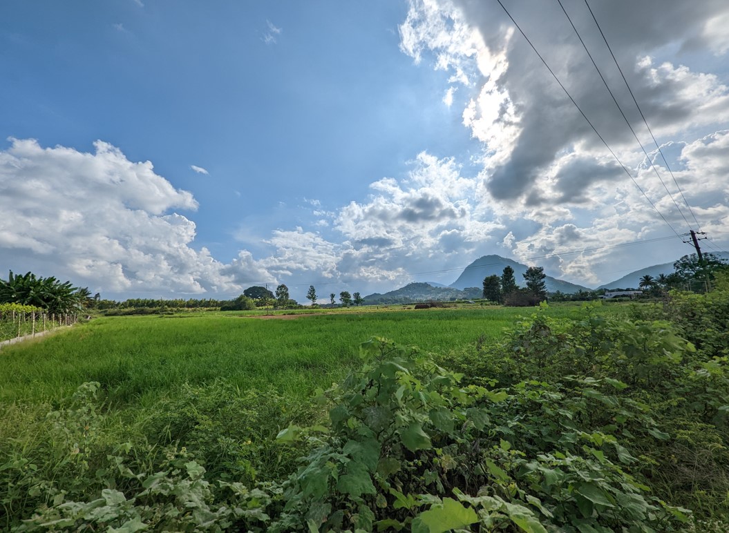 Google Pixel 7 Pro's camera sample with ultra-wide angle view. Credit: DH Photo/KVN Rohit