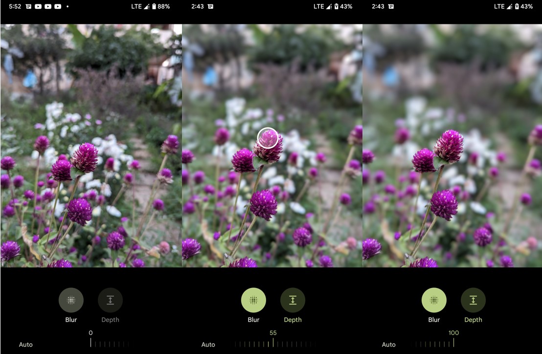 Google Pixel 7 Pro's Google Photos' Portrait Blur feature in action. Credit: DH Photo/KVN Rohit