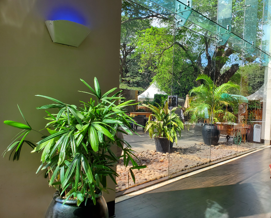 Samsung Galaxy Fold camera sample shots (DH Photo/Rohit KVN)