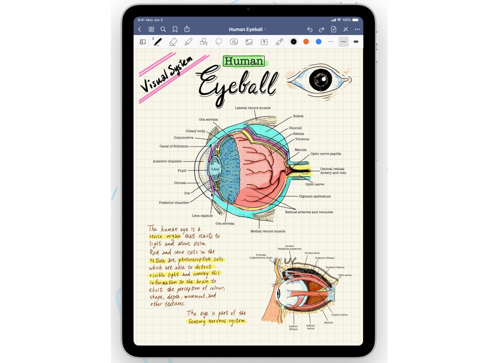 GoodNotes 5 app. Credit: Special Arrangement