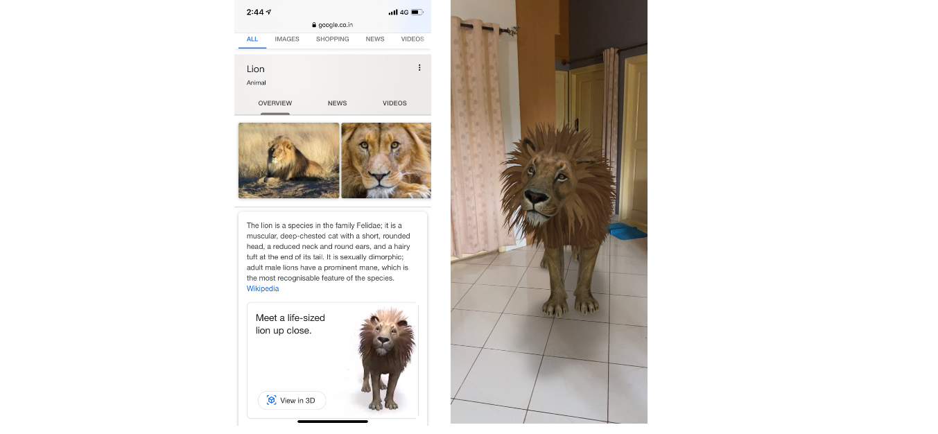View in 3D feature on Google search via Safari app on Apple iPhone (DH Photo/Rohit KVN)