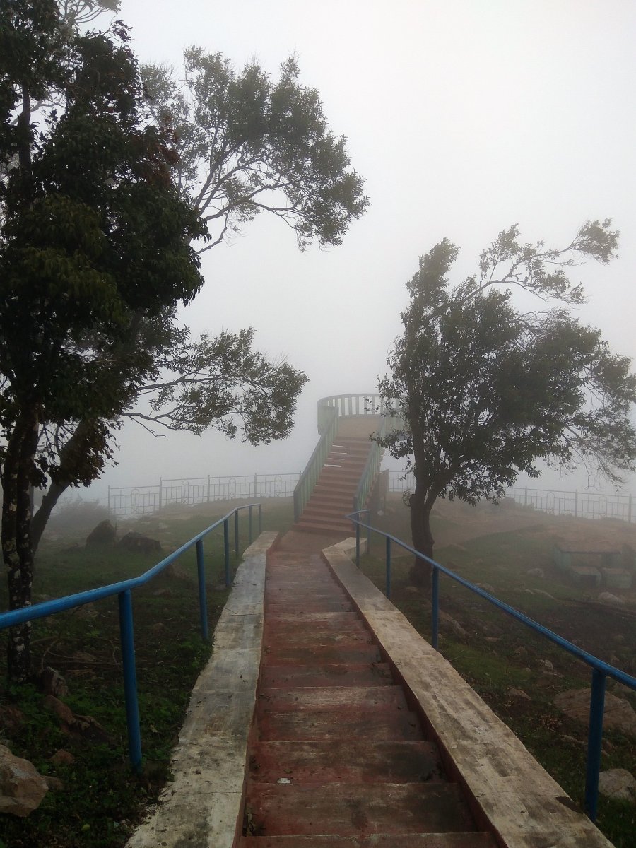Mist-clad Kodanad