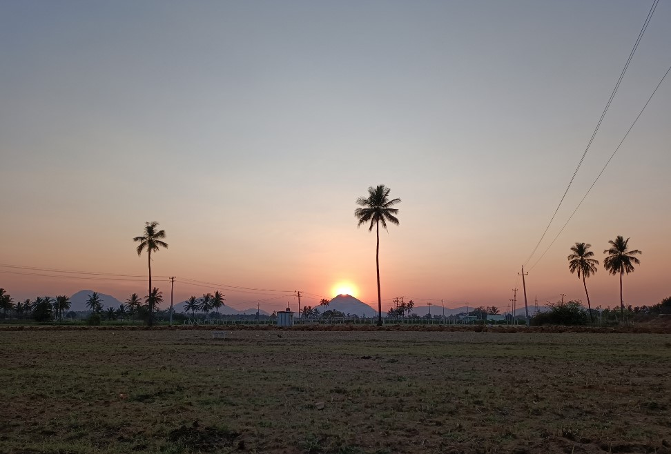Oppo F19 Pro+ 5G camera sample. Credit: DH Photo/KVN Rohit