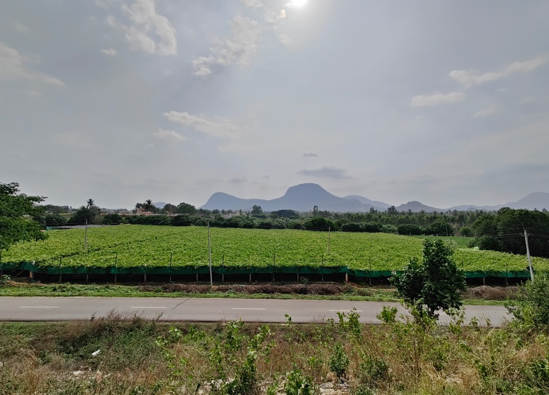 OnePlus 10 Pro's camera sample with ultra-wide-angle mode. Credit: DH Photo/KVN Rohit