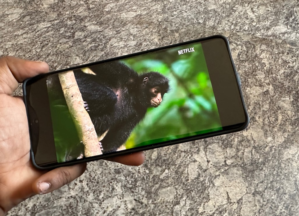 OnePlus 11R. Credit: DH Photo/KVN Rohit