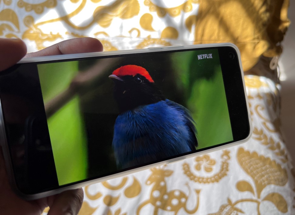 OnePlus Nord CE (2nd Gen). Credit: DH Photo/KVN Rohit