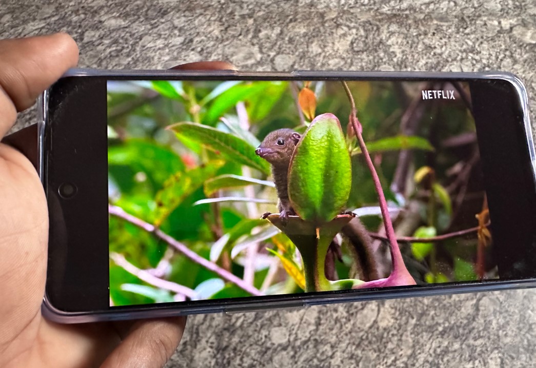 OnePlus Nord CE 3 Lite. Credit: DH Photo/KVN Rohit