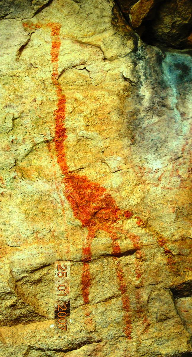 Cave painting of a Ostrich or a similar large bird.