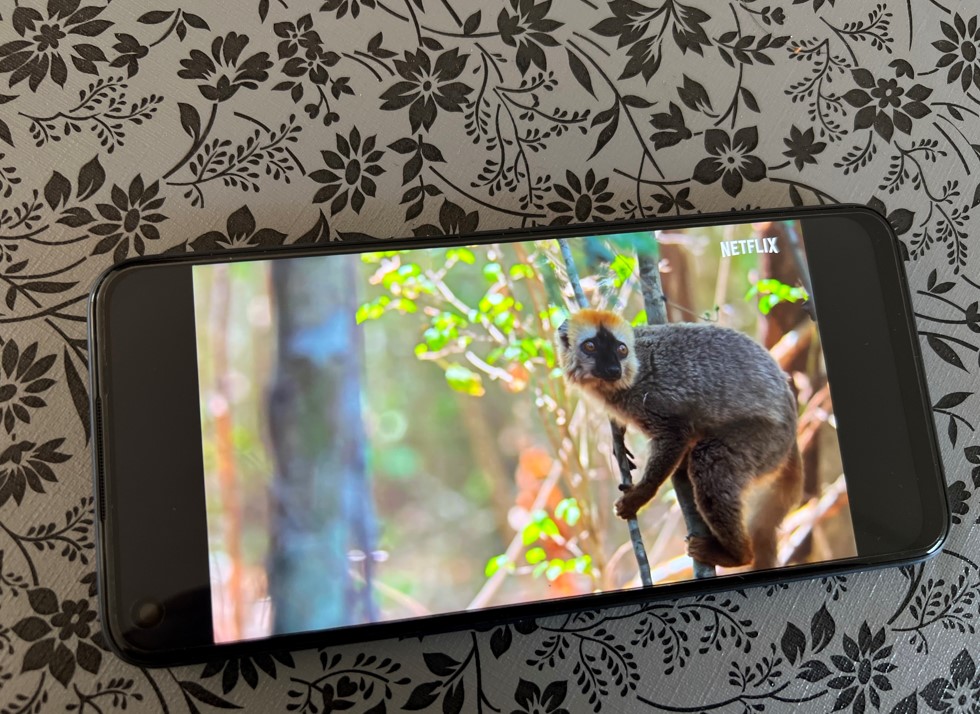 Realme 8s 5G. Credit: DH Photo/KVN Rohit