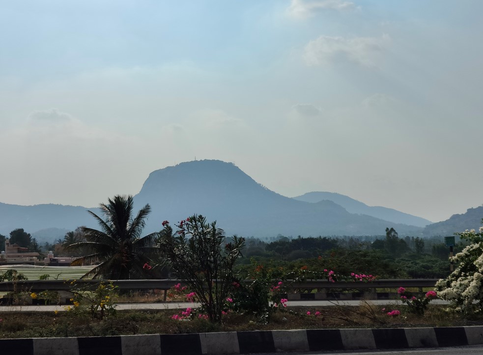 Realme GT 2 Pro's camera sample with 2X mode on. Credit: DH Photo/KVN Rohit