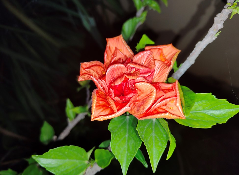 Realme GT 2 Pro camera sample taken in the night with LED flashlight on. Credit: DH Photo/KVN Rohit