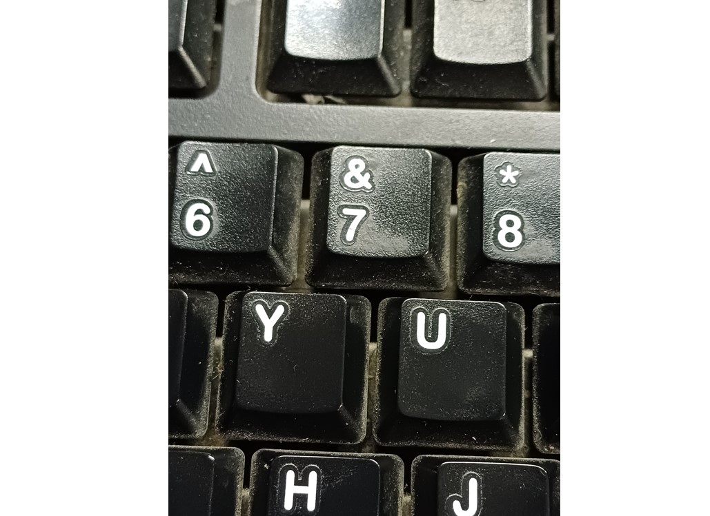 Samsung Galaxy A34 5G's camera sample with macro mode. Credit: DH Photo/KVN Rohit