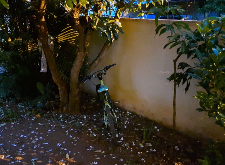 Samsung Galaxy M31 camera sample with Night mode on. DH Photo/KVN Rohit