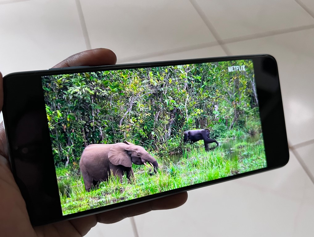 Samsung Galaxy M53 5G. Credit: DH Photo/KVN Rohit