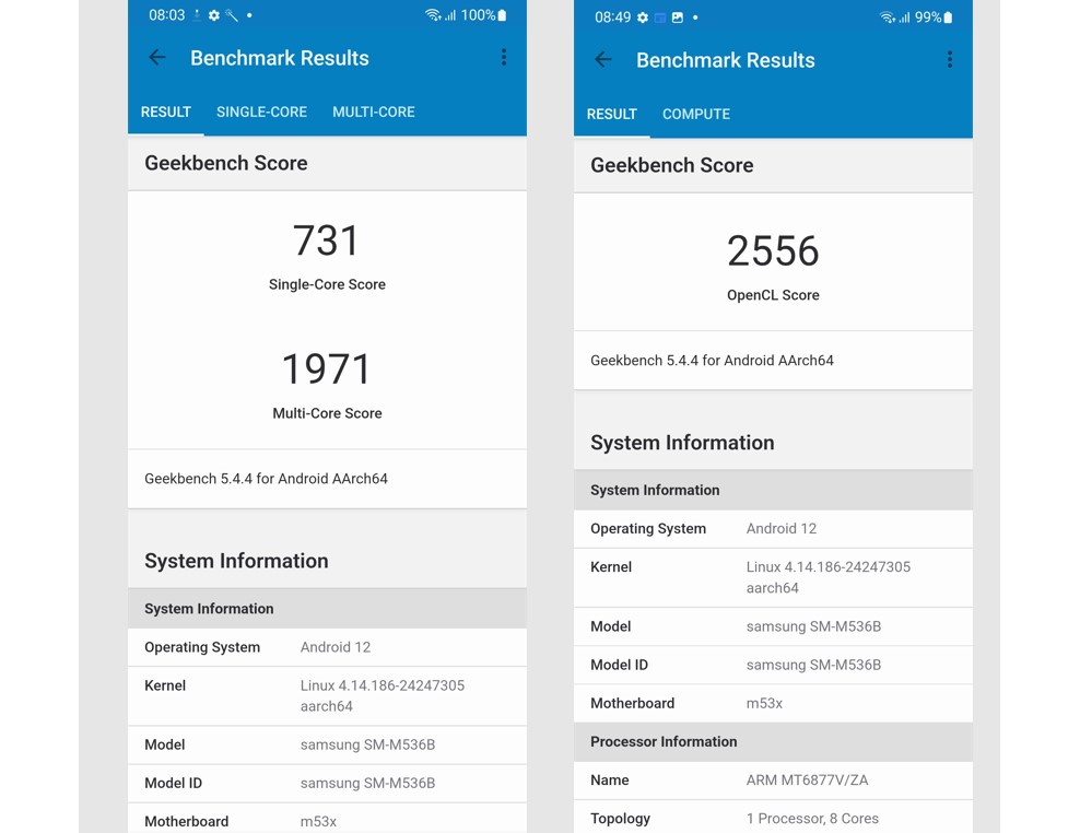 Performance score of Samsung Galaxy M53 5G on Geekbench 5.0 app. Credit: DH Photo/KVN Rohit