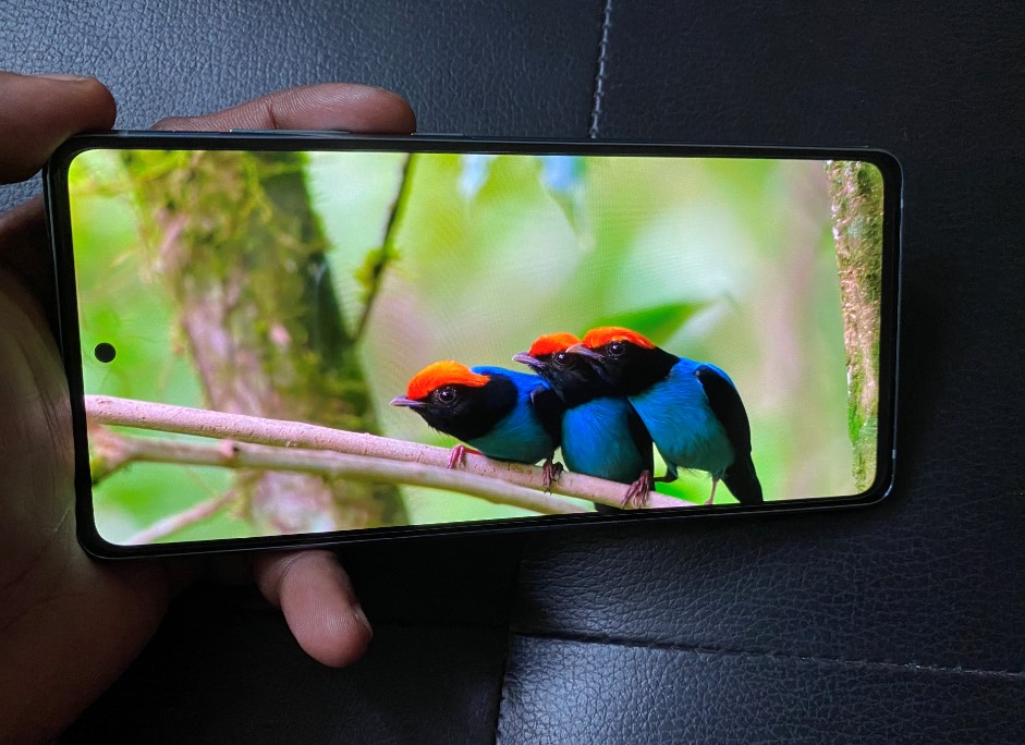 Samsung Galaxy S20 FE. Credit: DH Photo/KVN Rohit
