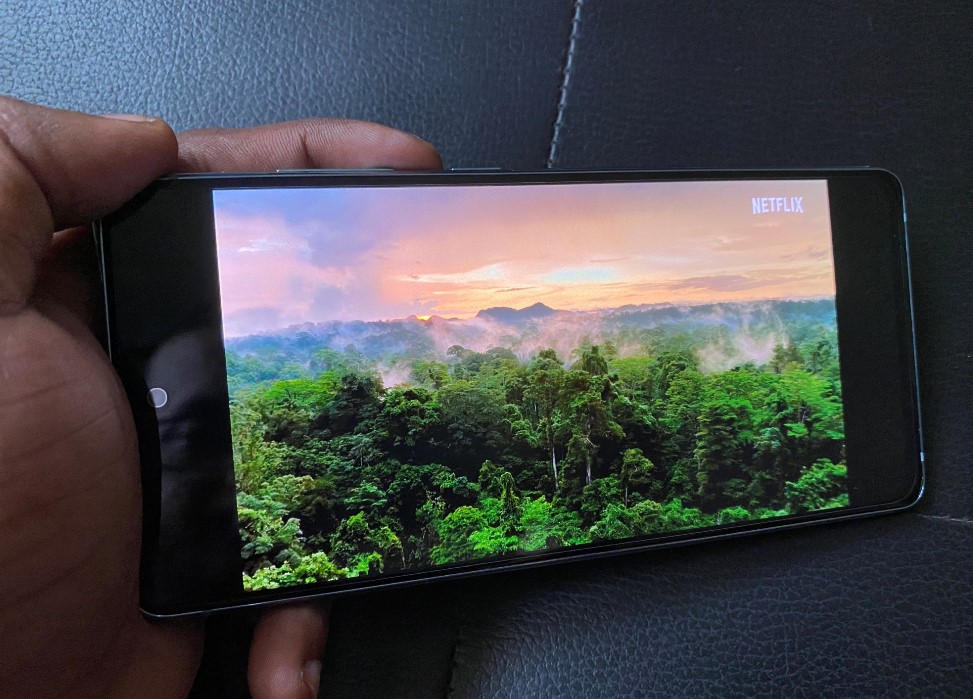 Netflix documentary played on Samsung Galaxy S20 FE. Credit: DH Photo/KVN Rohit