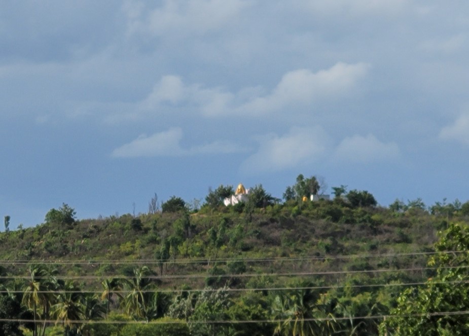 Samsung Galaxy S20 FE 5G camera sample with Digital Zoom x 10. Credit: DH Photo/KVN Rohit