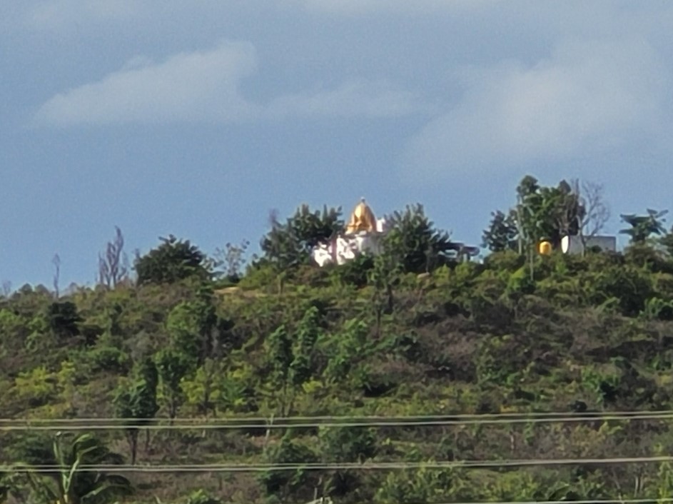 Samsung Galaxy S20 FE 5G camera sample with Digital Zoom x 20. Credit: DH Photo/KVN Rohit