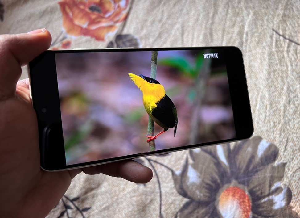 Samsung Galaxy S21 FE. Credit: DH Photo/KVN Rohit