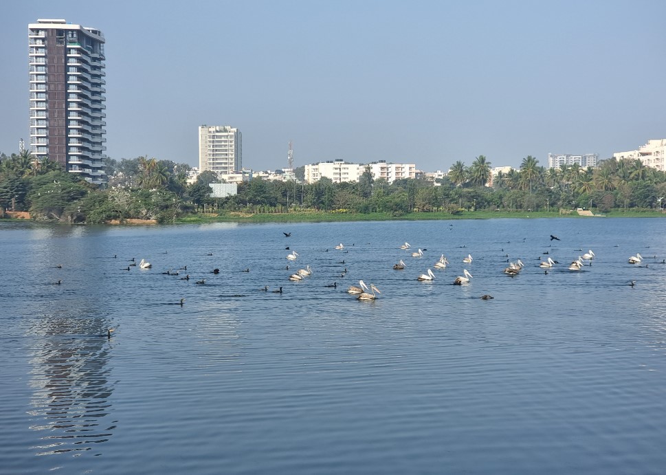 Samsung Galaxy S21 Ultra 5G camera sample. Credit: DH Photo/KVN Rohit