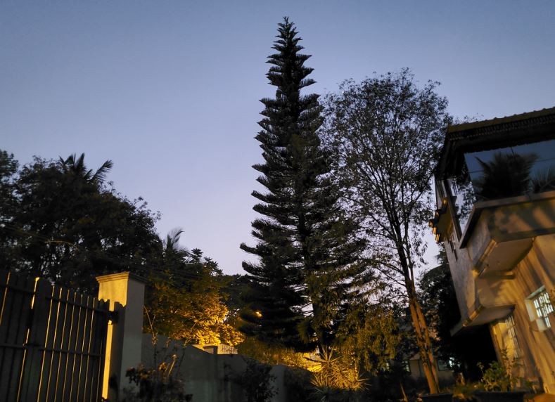 Samsung Galaxy Z Flip camera sample with Night mode on (DH Photo/KVN Rohit)